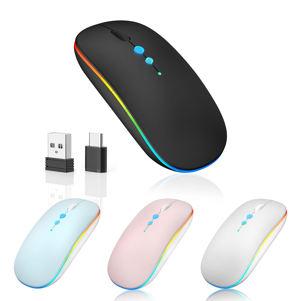 Halpilt LED Wireless Mouse A100S Rechargeable Portable Silent Mouse with Optional USB and Type-C Receiver 3-Speed Adjustable DPI for PC/Mac/Laptop (Frosted Black)